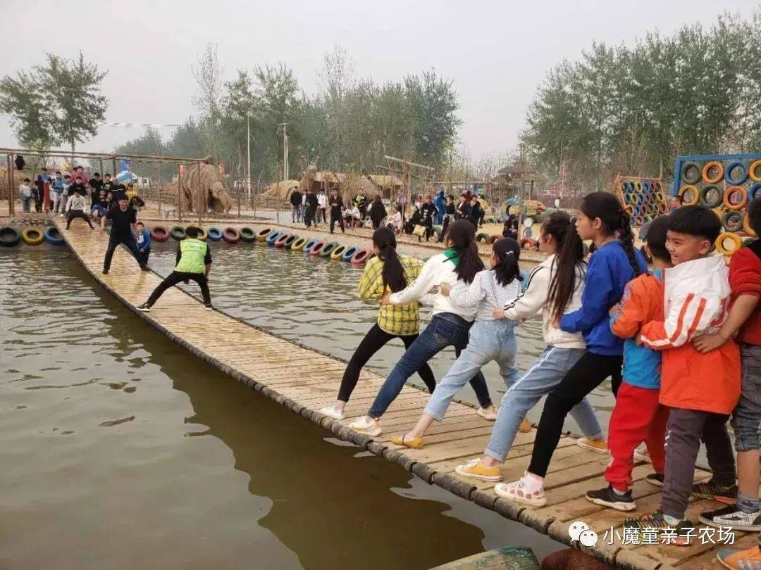 乐园|门票免费领！樱花小镇虎年欢乐会等你来！一站式趣享萌宠乐园、高空秋千、网红桥等20+娱乐设施！