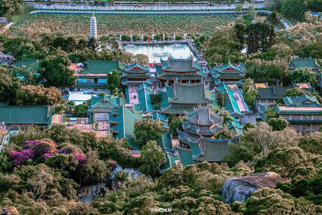 厦门|再冷下雨天，也挡不住厦门人拜拜！南普陀求平安、仙岳山求姻缘...春节祈福，厦门寺院哪家灵？