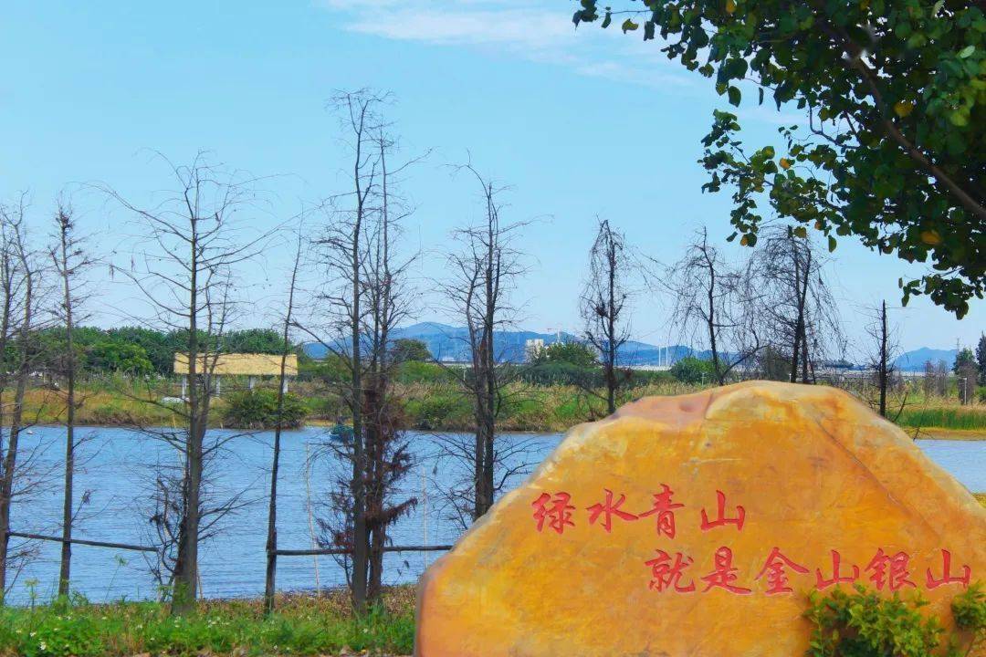 你有一份来自沙田的新年礼物要查收~_摄影_公园_周海城