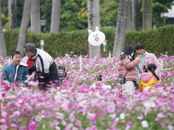 非法|南宁：大年初一 新年“逛大运”