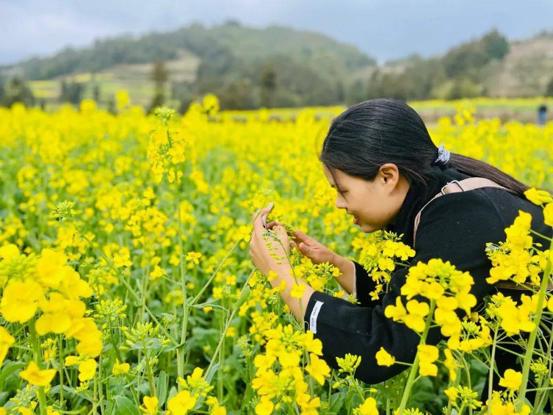 万亩油菜花开!快来文山一览美景_平坝镇_砚山_平地