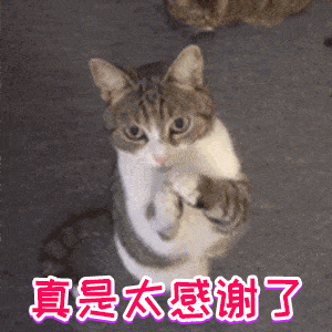 c32b282bafd24f518812667f86ef753c.gif