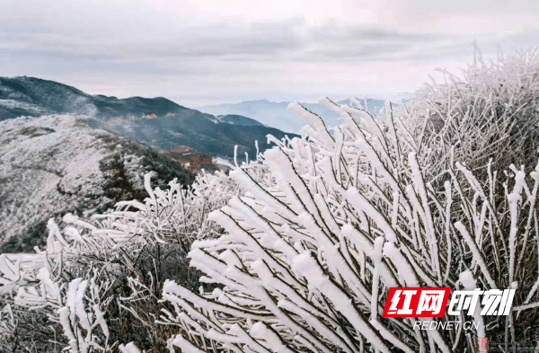 阳明山|春节不“打烊”丨双牌阳明山邀你一起来赏雾凇