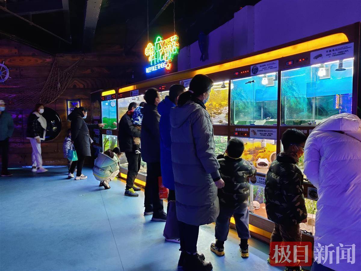 海洋大世界介绍 0b671e5d4439420dba2618945bcf5efb.jpeg