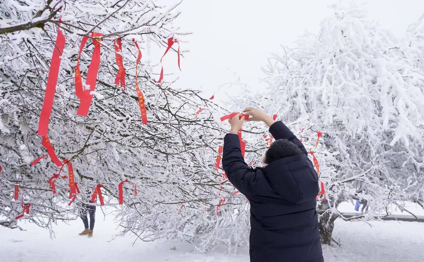 大年|迎冬奥过大年|重庆武隆20cm厚雪点燃游客热情