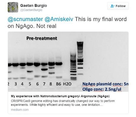 成果堪称“诺奖”一夜成名却无法复现的韩春雨，再发高分文章