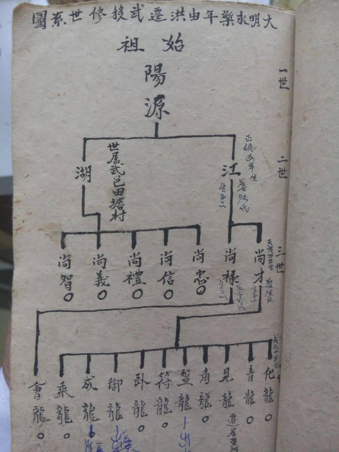 洪洞大槐树家谱续修用匠心记载每一代人