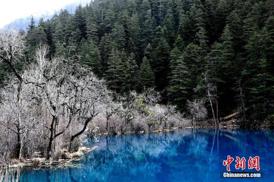 节气|今日立春|不负春光，不负梦想！