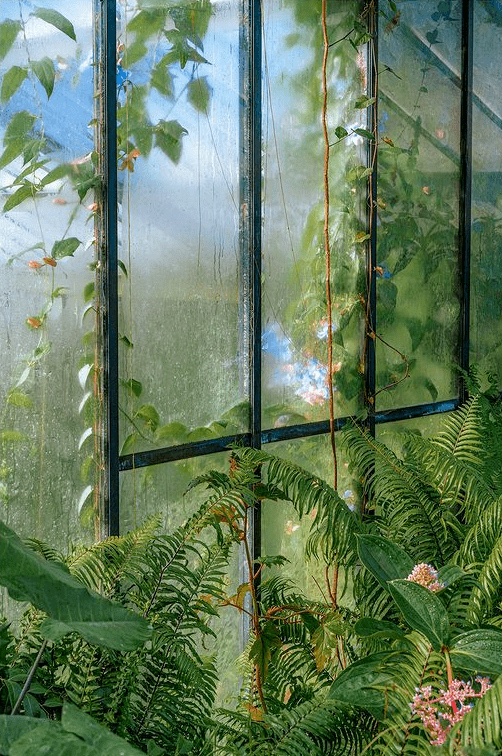 阳光治愈力满满的绿色系画面02 豆青photo by ins@kemmiethecatphoto