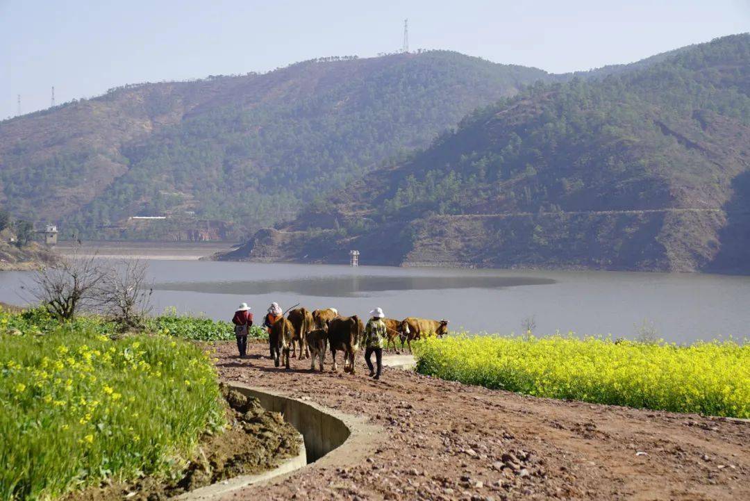 三合村_弥渡县_水库