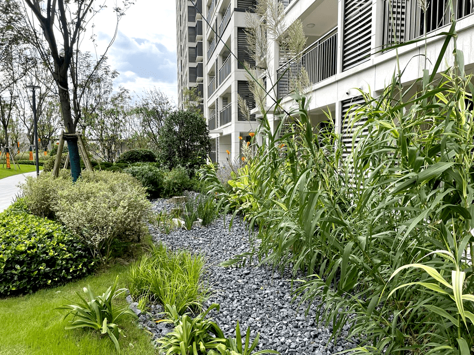 丛林之下萤来美好2021江苏旭辉社区海绵实践分享