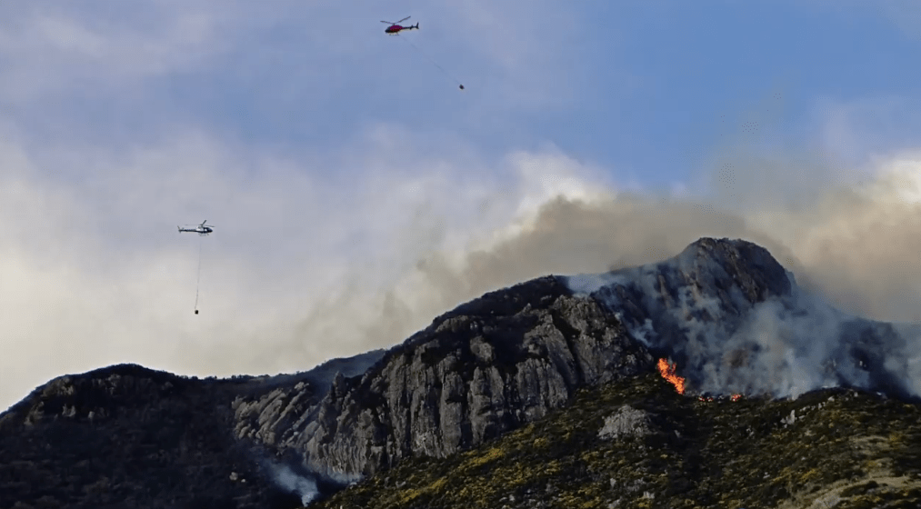 Wilson|76岁老头独居30年，不种一棵树，把荒地变成“国家公园”…