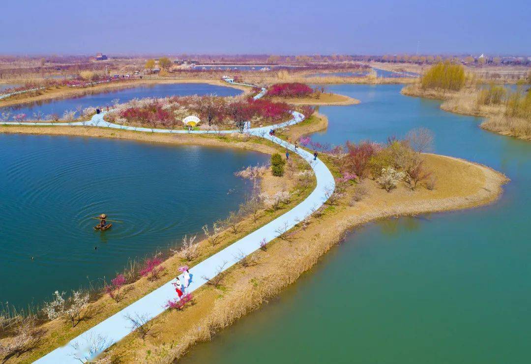 泗洪洪澤湖溼地虎氣騰騰福運滿滿美景不斷