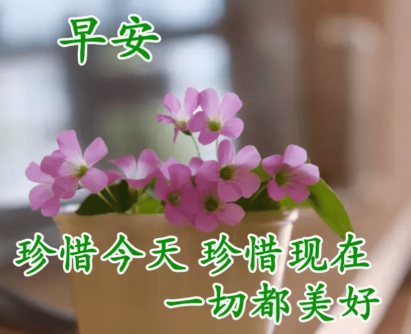 8a58f1dd7e214856a136ea6eb5b3cf1c.png