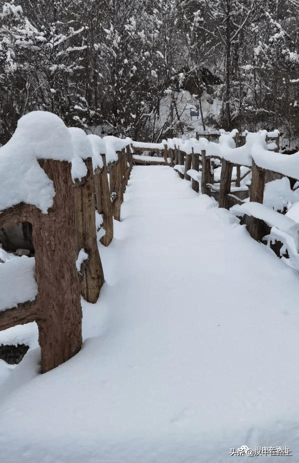 冰瀑冰掛雪景漢中雲霧山帶你見證冬的魅力