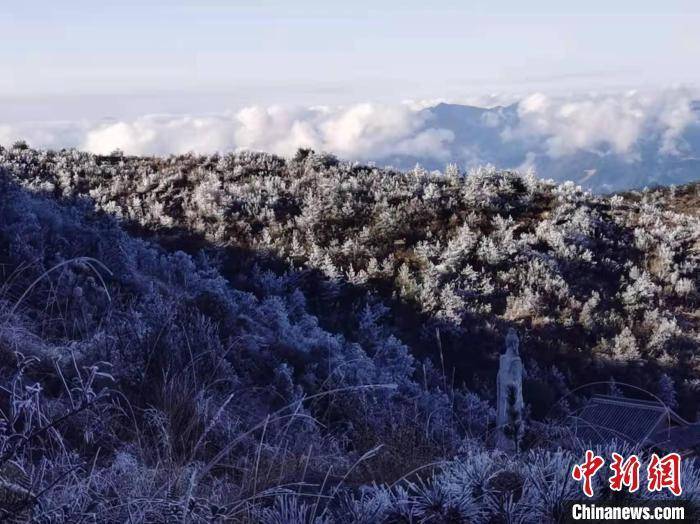 雾凇|福建宁德世界地质公园迎来今年首场雾凇