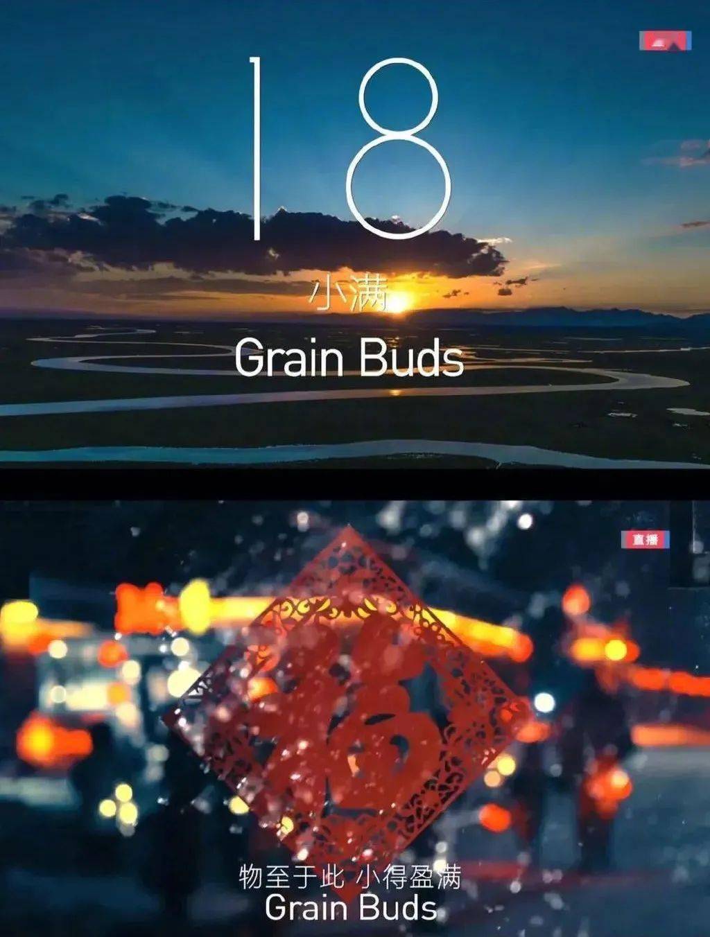 10d9476a52584ad0985b738f00d67e93.jpeg
