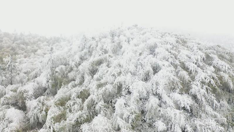 雾凇|航拍赣鄱|雾凇美景！如诗如画醉游人