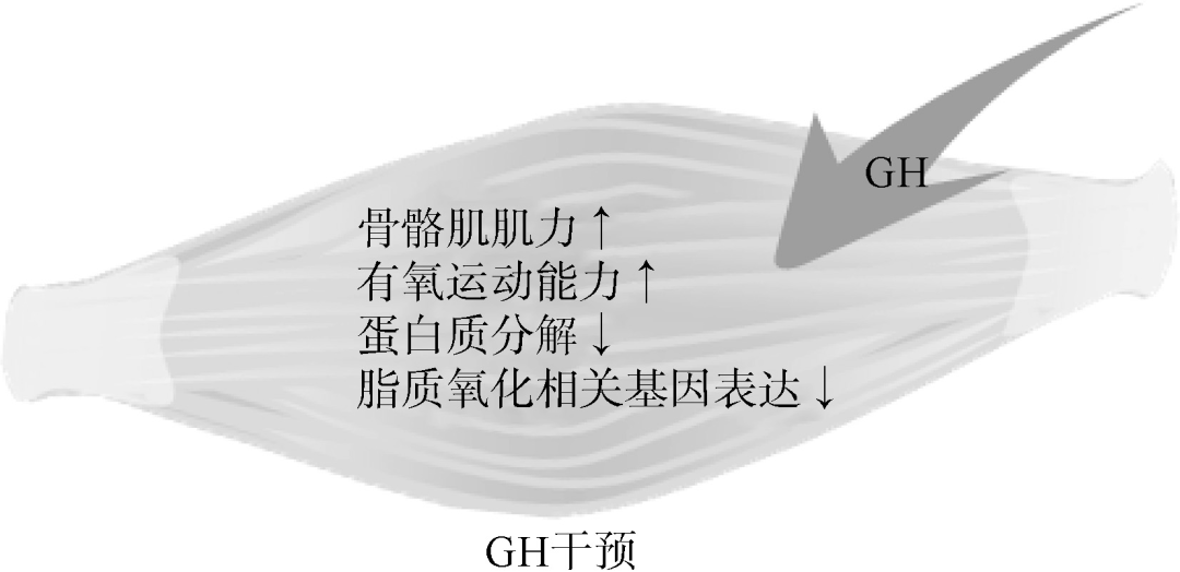 44c3142ae74b486fa96be6e769af0b81.png