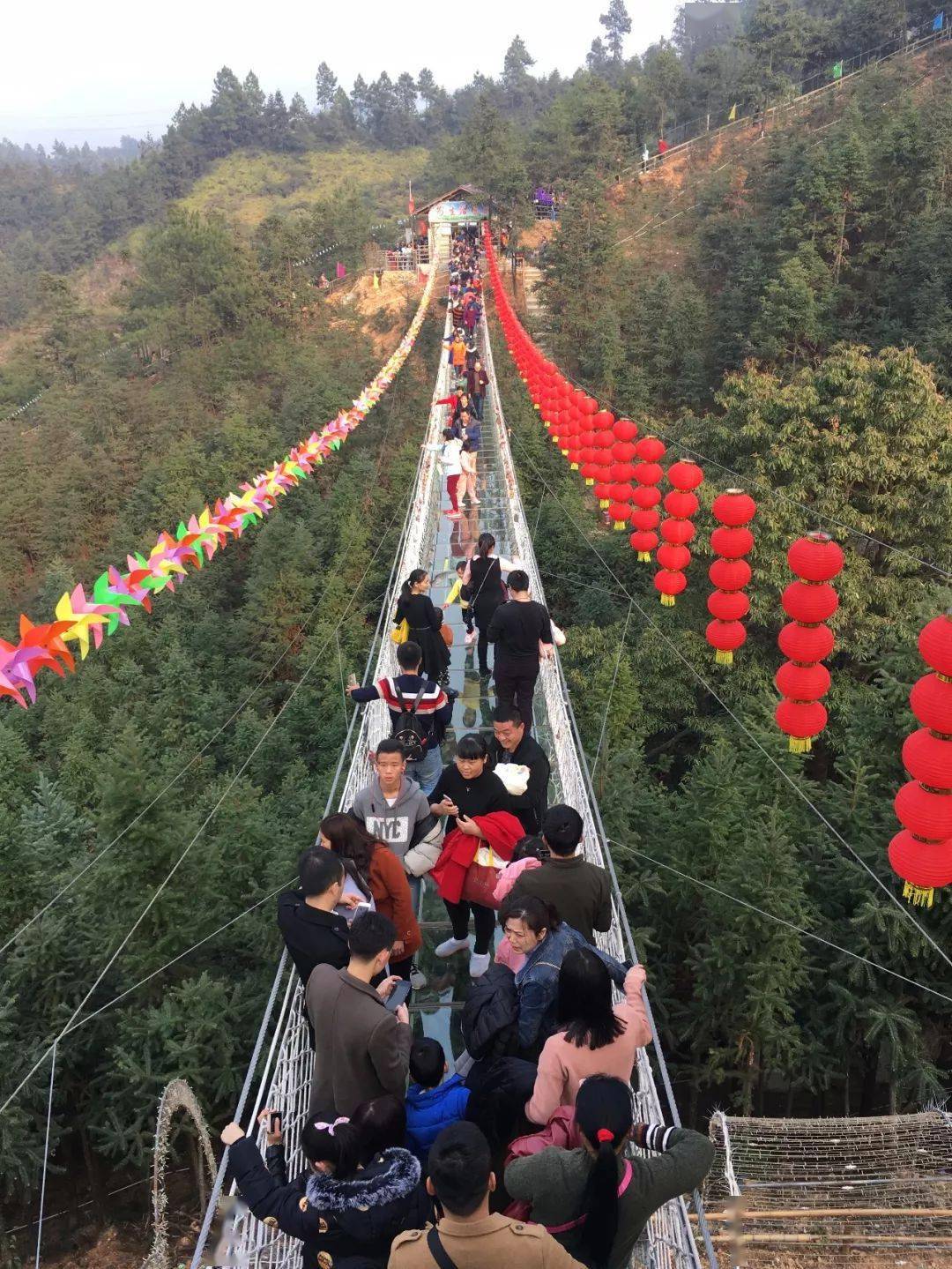 南武當觀丹霞風光 連平桃園賞桃花_玻璃_活動_天橋