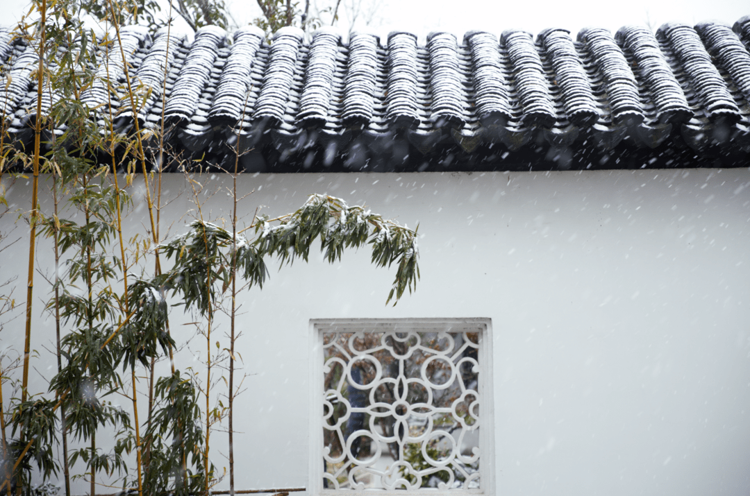 大雪|相城，瑞雪兆丰年！