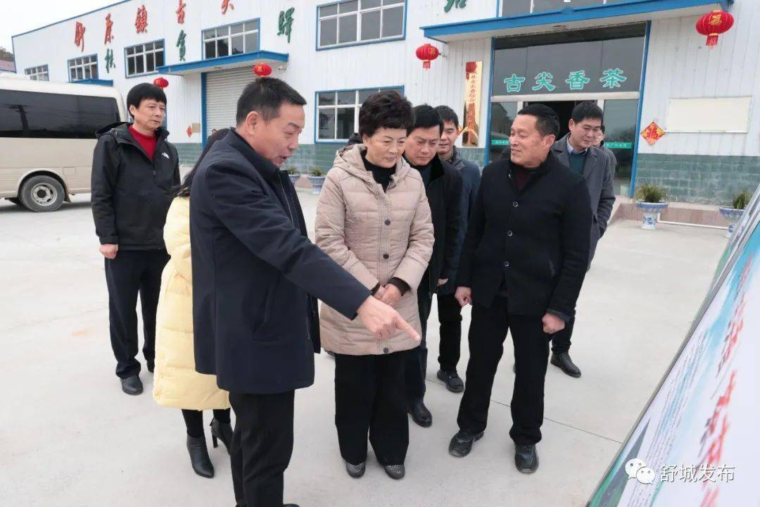 张秀萍调研工业企业复工复产和农业产业发展情况_舒茶镇_工作_桃溪镇