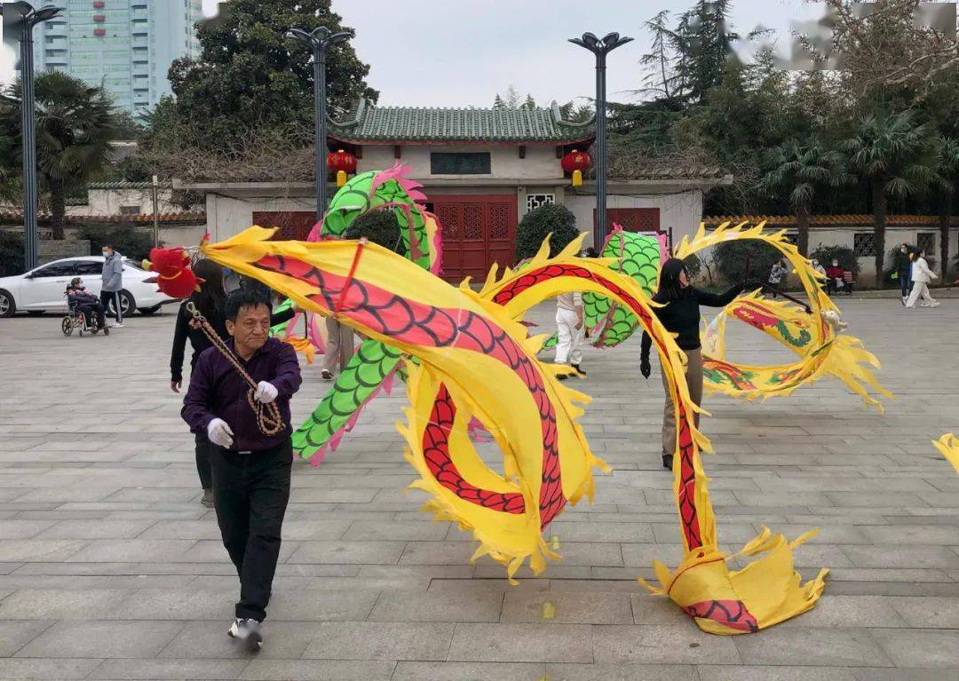 平顶山市老年健身爱好者手舞彩龙欢度春节_活动_舞龙队_彩带