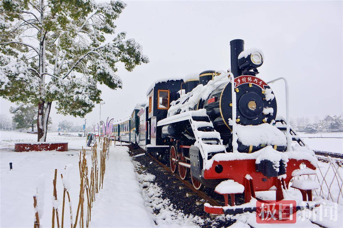 雪国列车 带你穿越花海 景区 武汉 游客