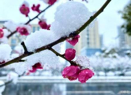 全国|皑皑白雪中的大好河山