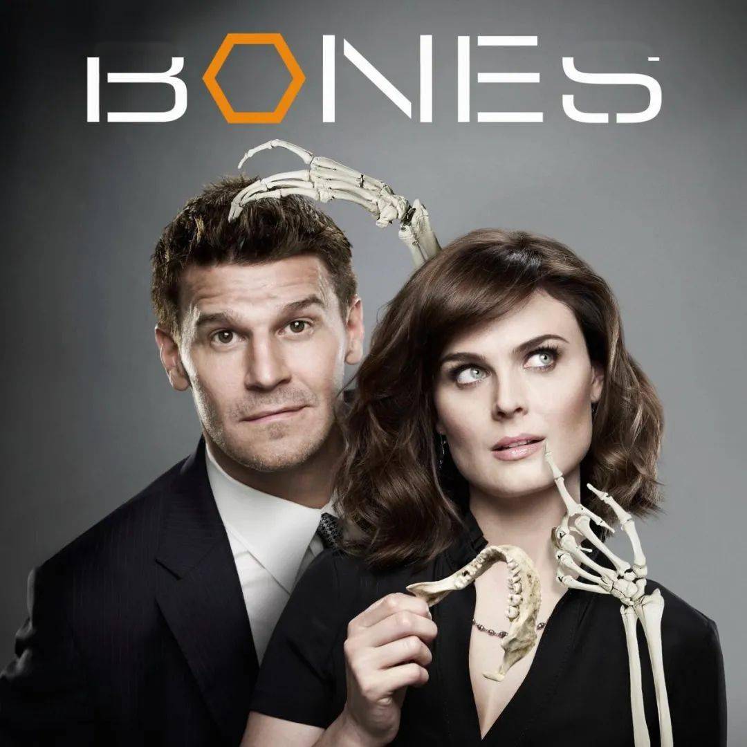 bones 识骨寻踪女主是顶级的,不近人情的法医人类学家,同时也是畅销的