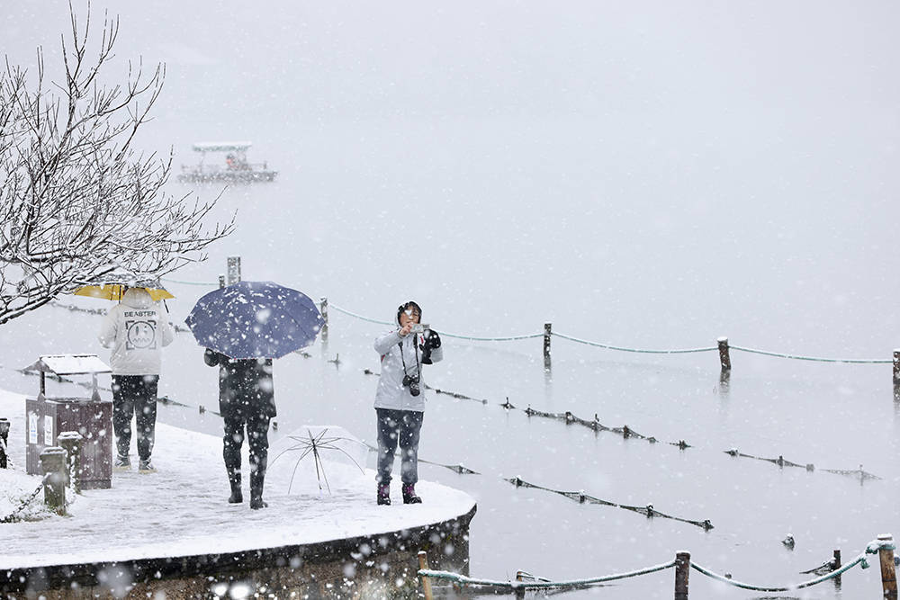 水汽|现场图片｜飞扬，飞扬，虎年开工第一天，杭州西湖瑞雪蹁跹