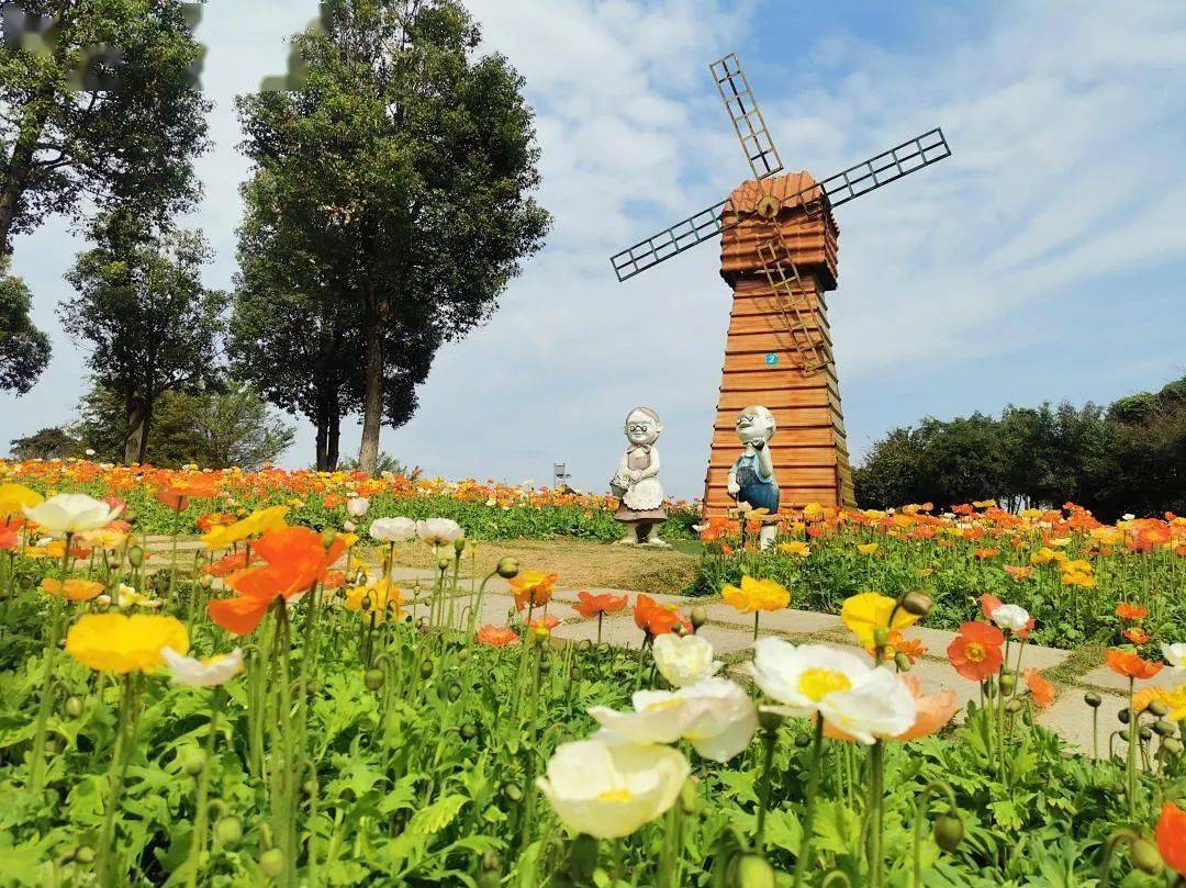 分享桂林这些地方花都开好了快相约去赏花吧