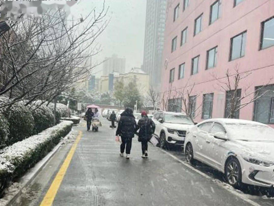 部门|扫雪除冰暖人心 医院安全有保障