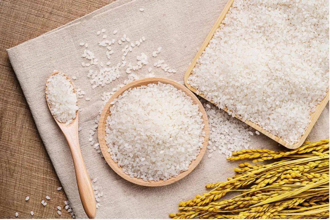 米中爱马仕越光米真的有这么好吃吗