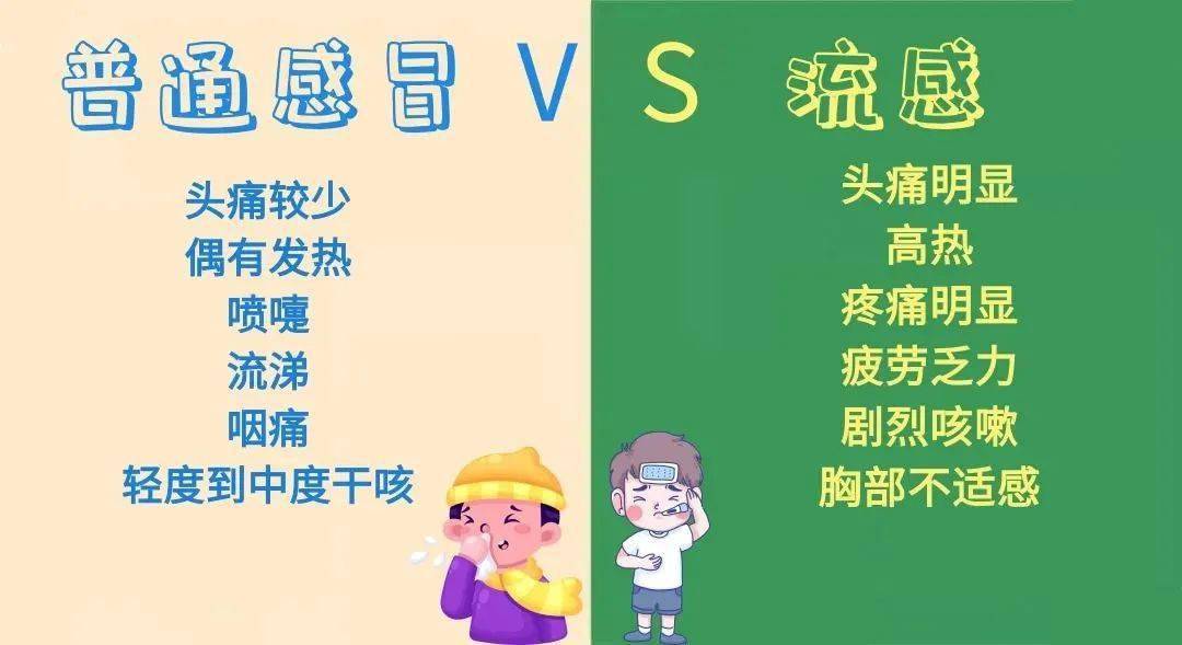 孕妇姜汤里面可以放什么_给孕妇熬姜汤需要怎么做_孕妇姜汤的做法