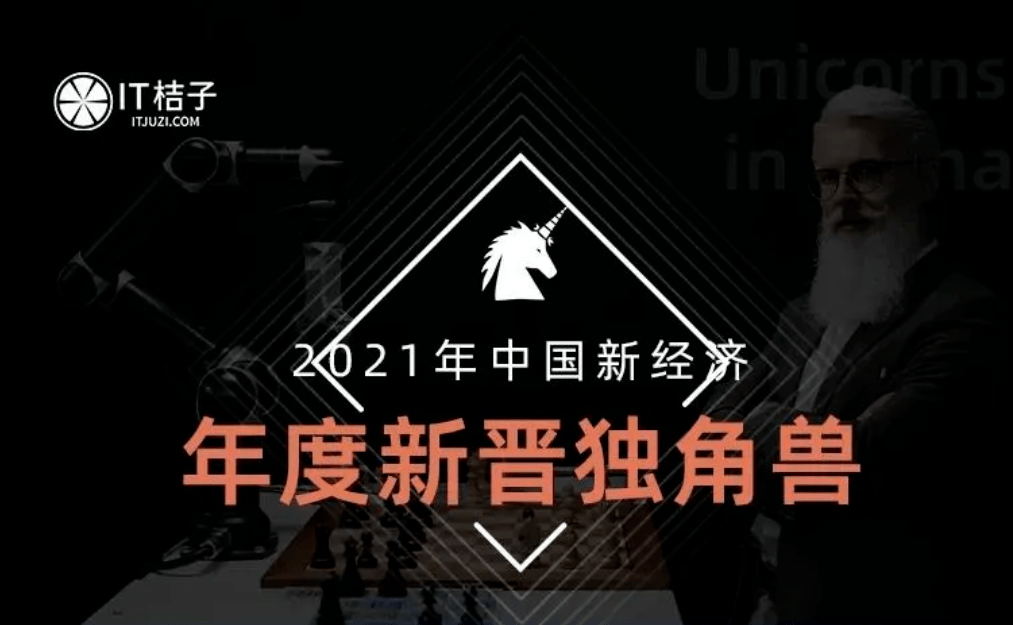 中国独角兽企业排行榜_2021年中国独角兽企业排行榜(方向标)
