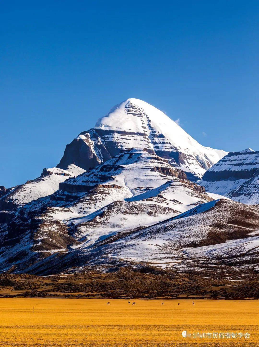 《冈仁波齐》▲《雪山脚下》▲《王者归来》▲《大山里》▲《雪山