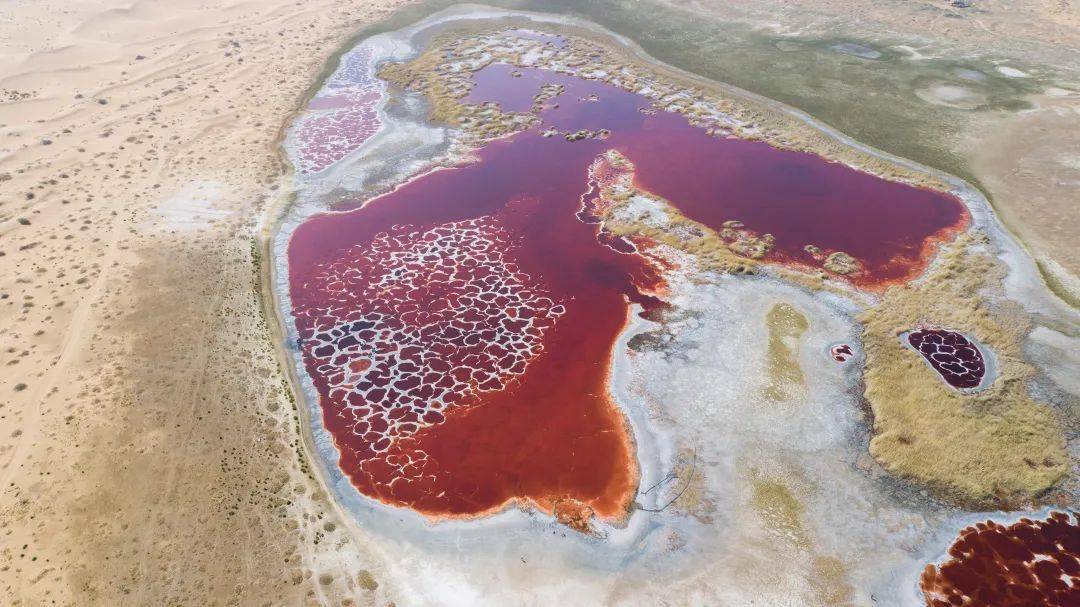 乐行族沙漠徒步经典腾格里沙漠五湖连穿满足你对沙漠的所有想象