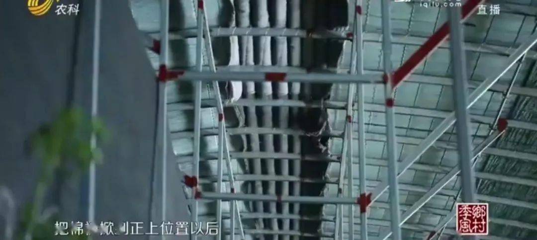 怎样搭建一个简易的工具棚 5518024e0d25471f930abcb6255e5c67.jpeg
