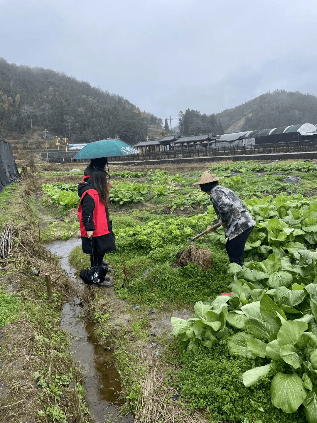 宁德:冲刺开门红 巾帼奏响新春交响曲