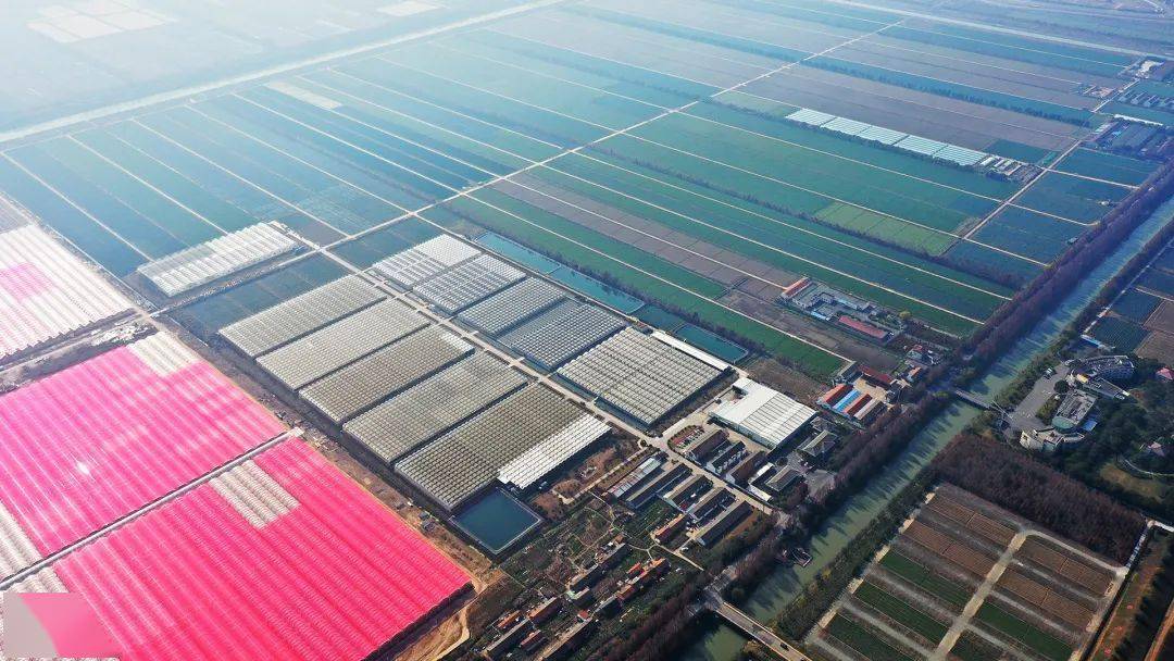 五四星辉蔬菜获全国首批生态农场称号