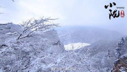 银枝|甘肃平凉：雪压枝头白絮飞 玉树银枝惹人醉