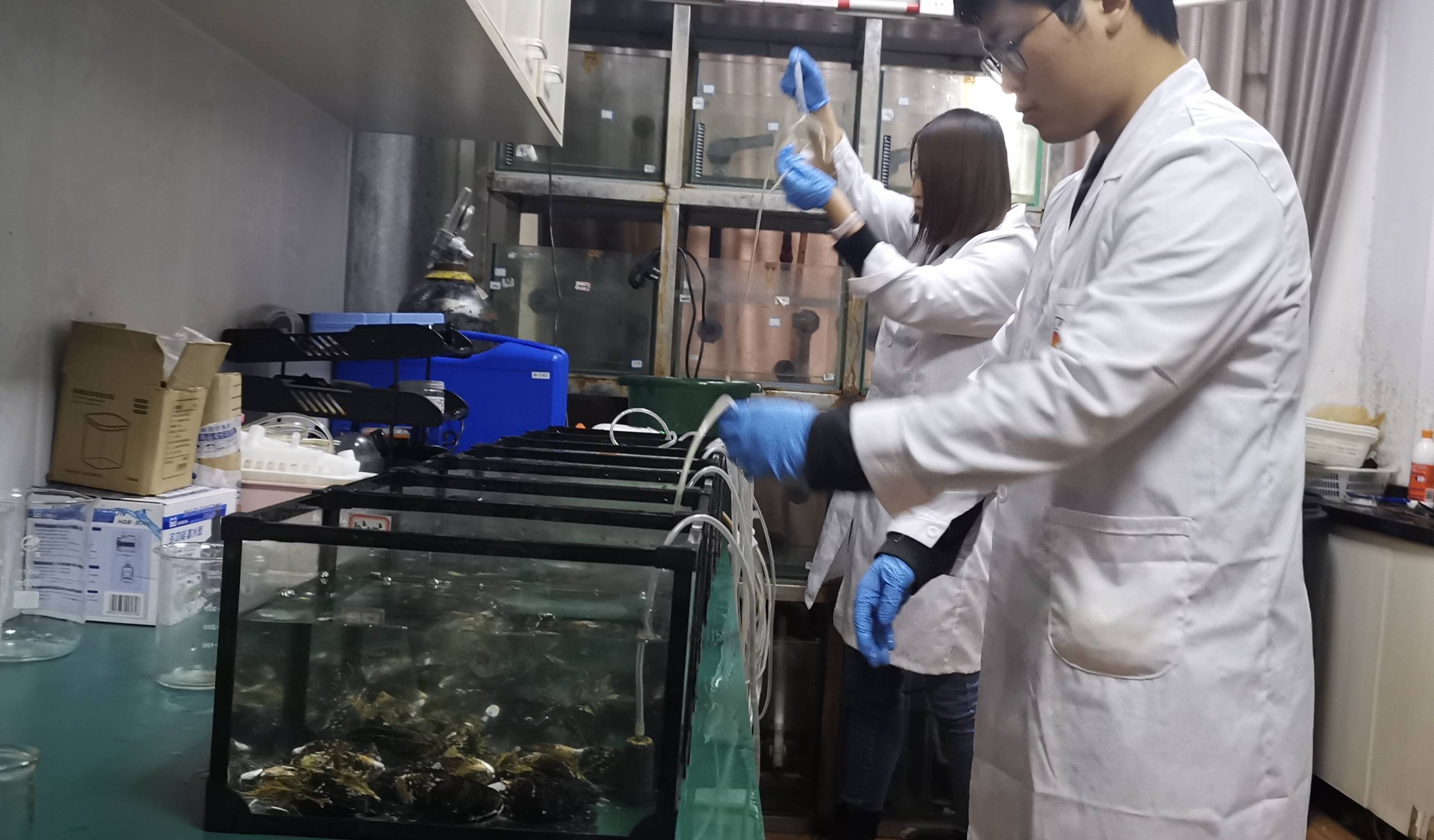 他们寒假留校喂饱超千条实验鱼：有我一口吃的就有鱼一口吃的