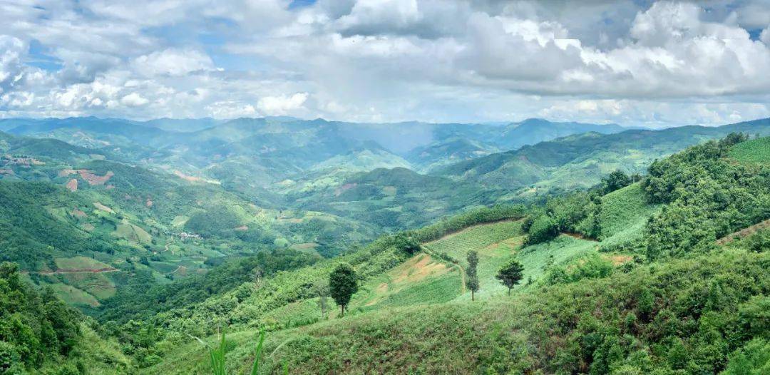 温冬日云海》《落日》《困碗佛寺》《河塘倒影》《富龙水库1》《稻田