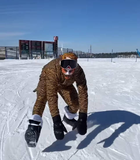 滑雪|瑞士滑雪运动员老虎装扮庆祝中国春节 网友：太酷了！