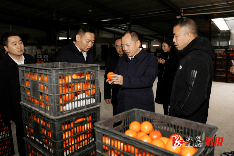 2月9日,虎年正月初九,县委书记郑湘前往大江口镇调研,全面了解溆浦