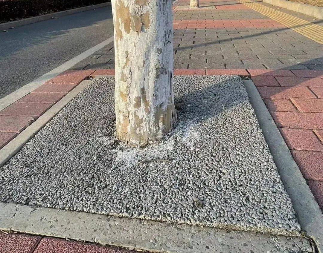 坤安路上的树坑,整改了