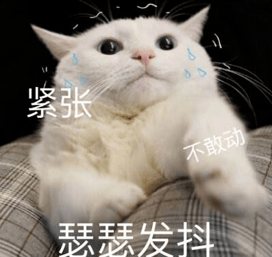 哒哒哒哒是什么意思 dd39600ab348467eb52c4ac6d54d4c43.png