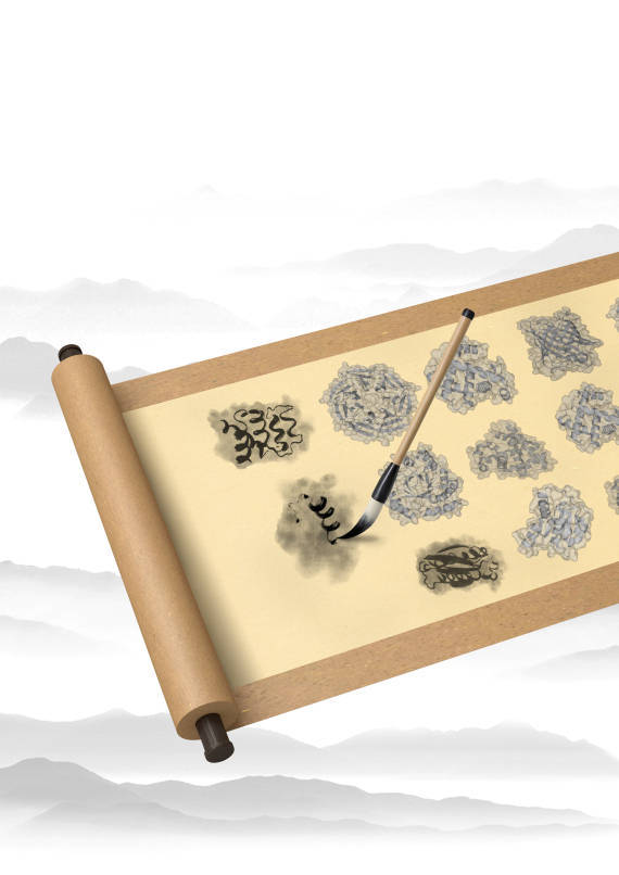 我国科学家建立蛋白质设计新方法