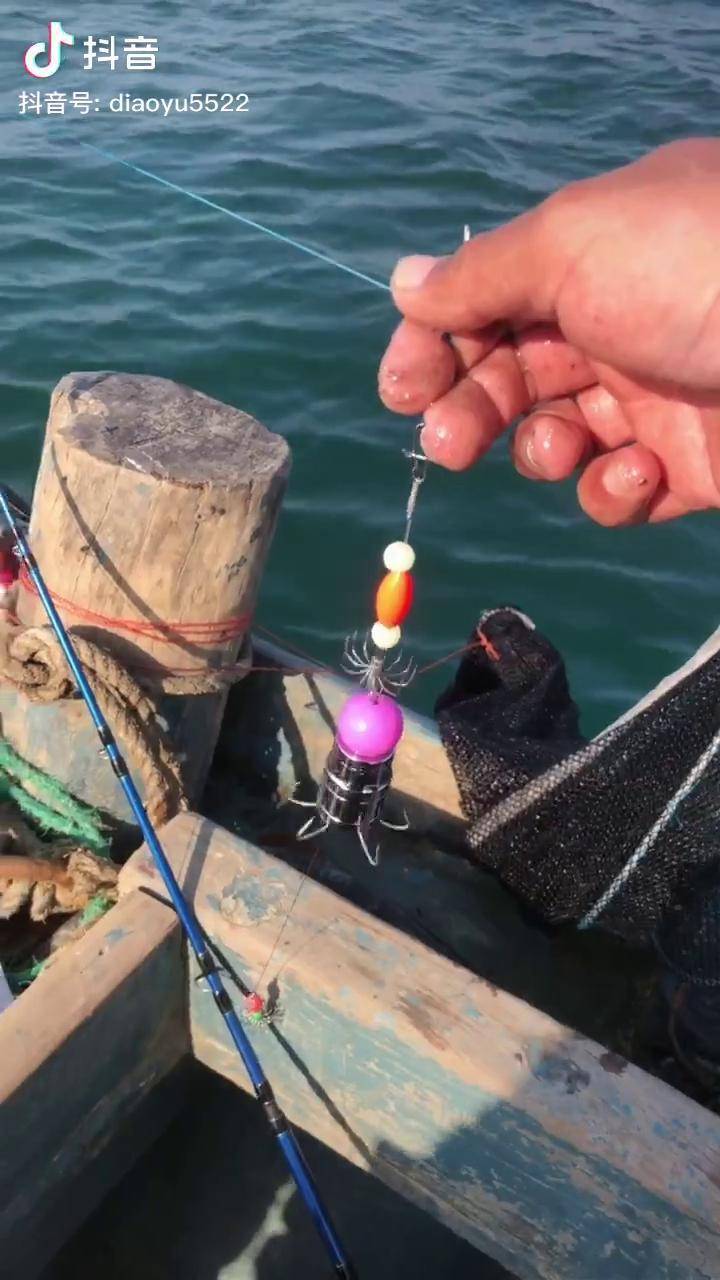 海钓路亚青岛胶南斋堂岛挑战三秒路亚八爪鱼一天二十斤